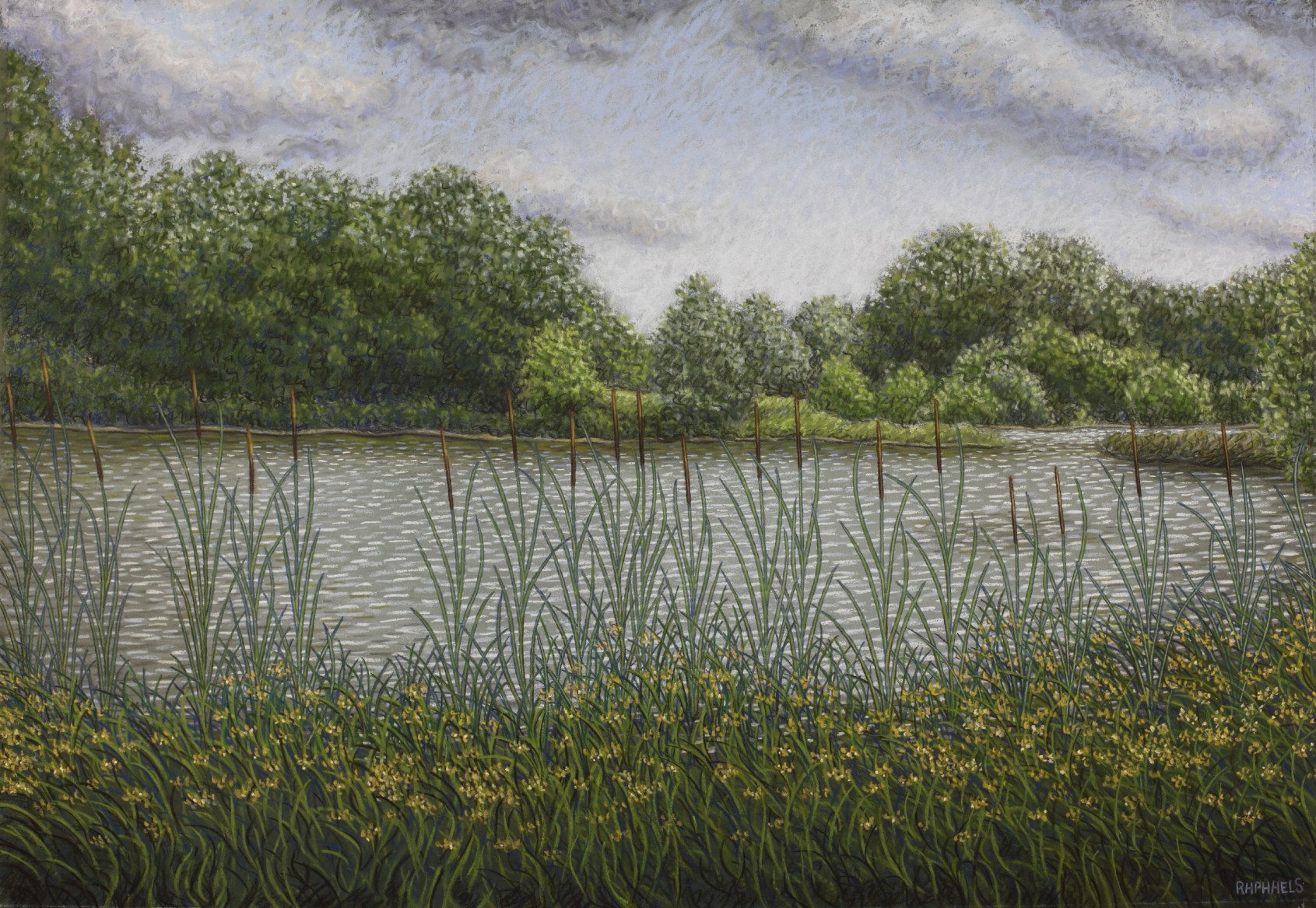 IMG_internet 1253(1)