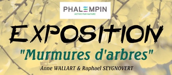 murmures d'arbres Affiche-web(2)