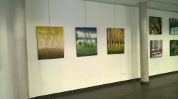 wp_20160916_12_47_29_pro