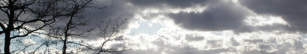 Raphael Seygnovert, Artiste Peintre